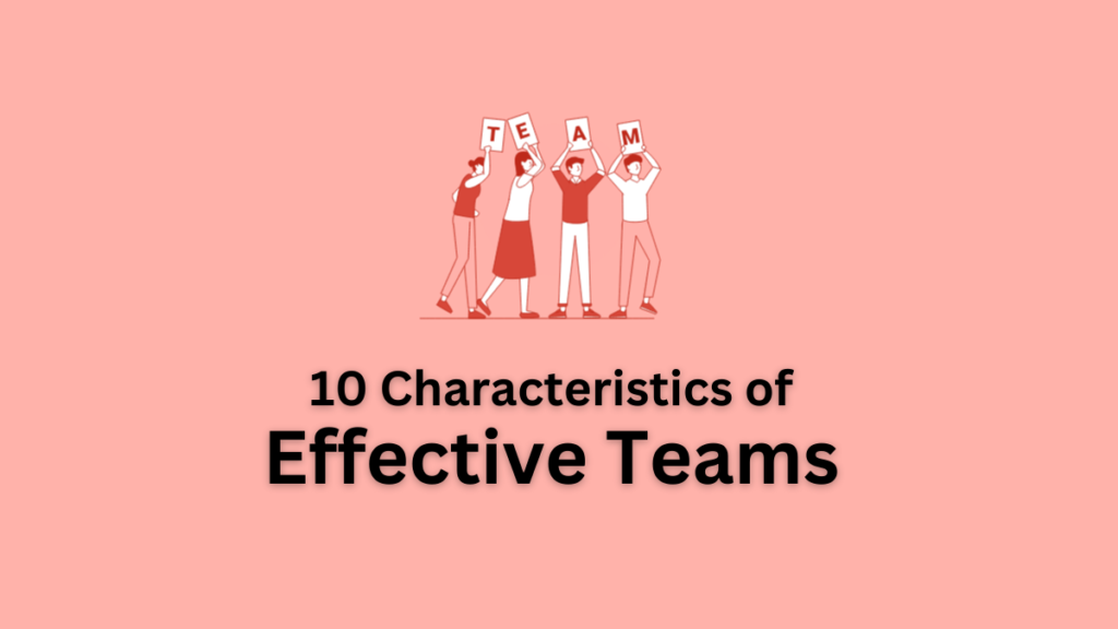 characteristics of teams