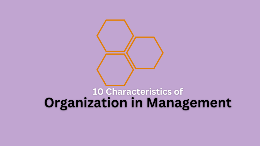 characteristics of organization