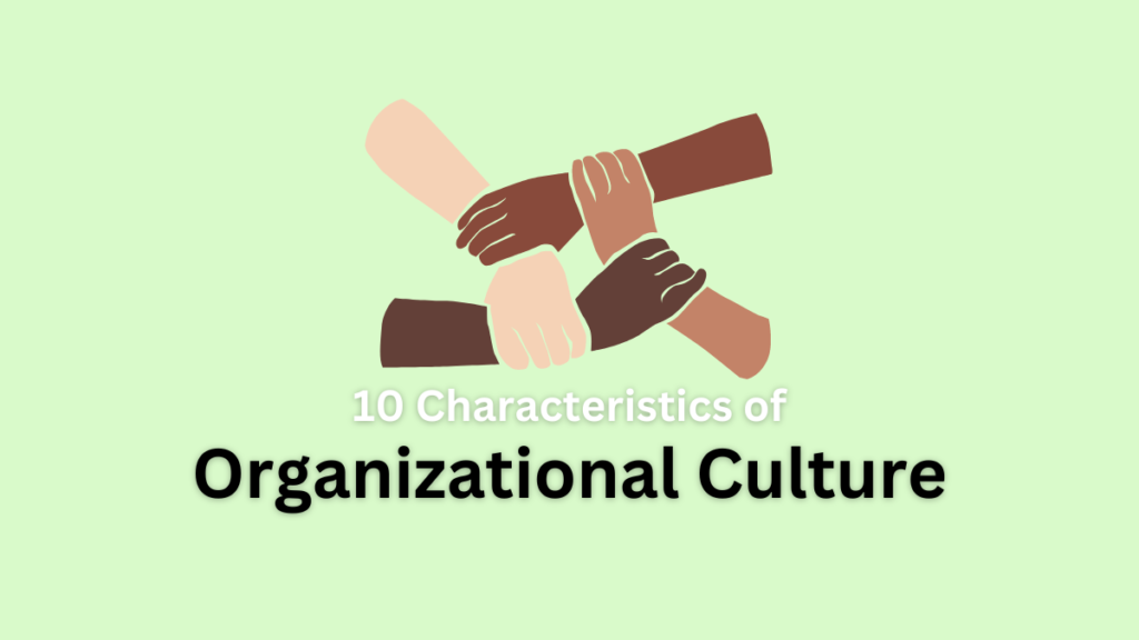 characteristics of organizational culture